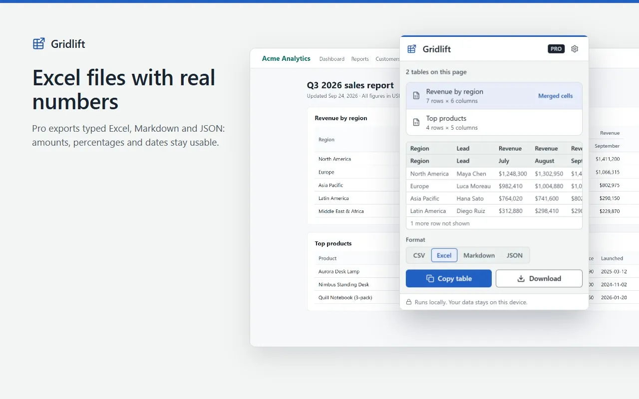 Gridlift Pro with the Excel format selected, for files where amounts, percentages and dates stay usable.
